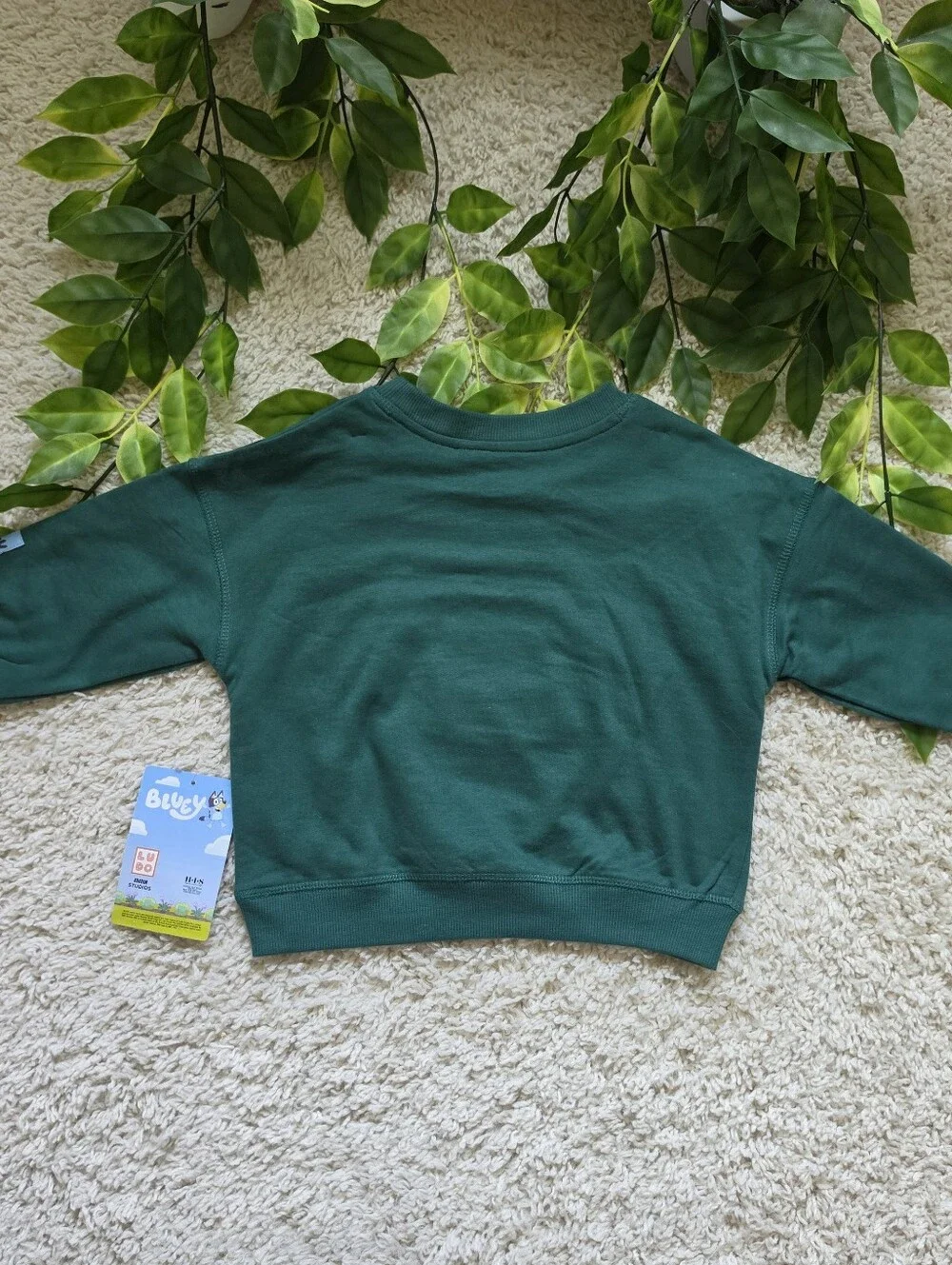 Baby Boy Bluey Christmas Sweatshirt (12-18 Months)